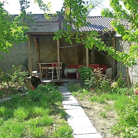 Дом У Моря С Бассейном И Сауной أوديسا المظهر الخارجي الصورة
